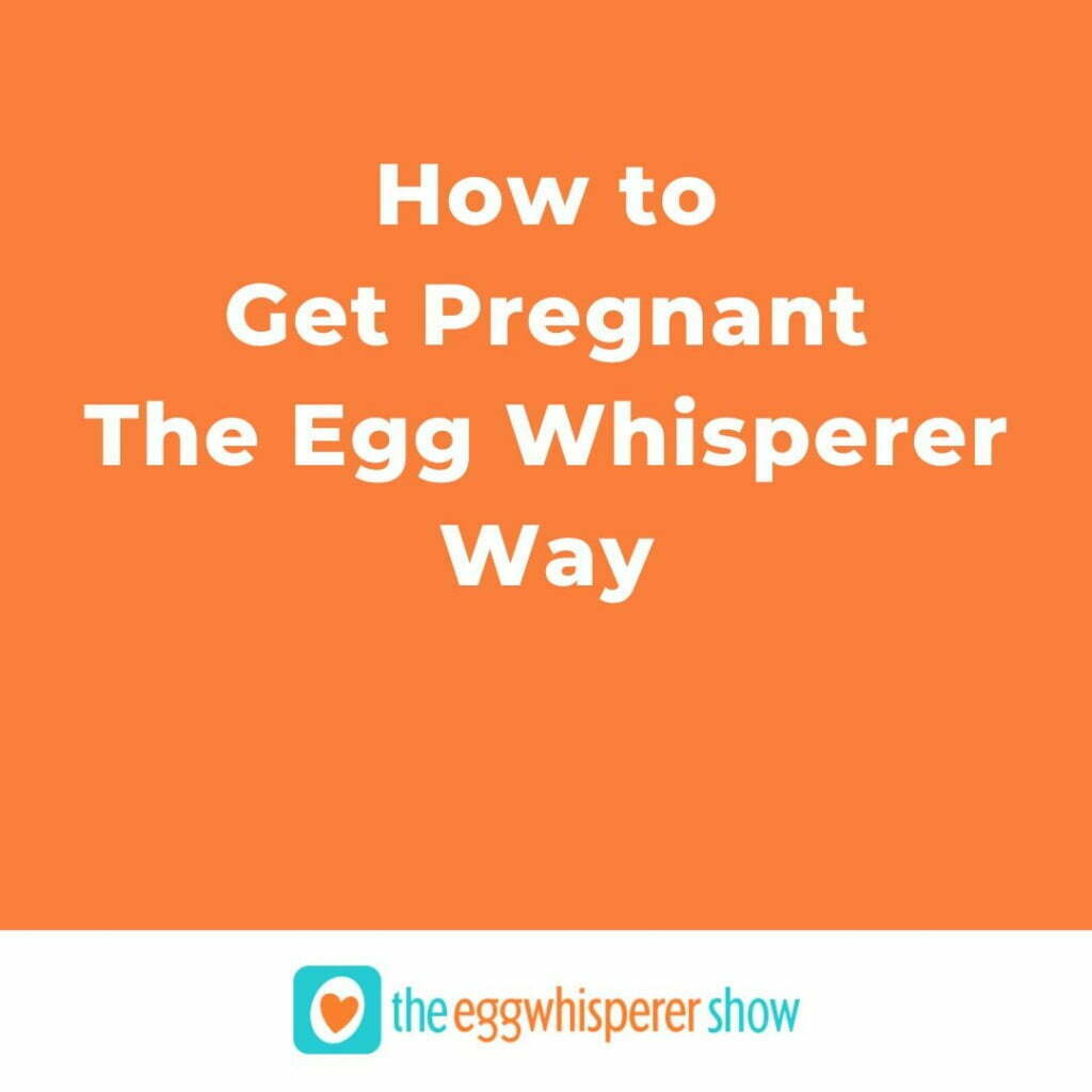 How to Get Pregnant The Egg Whisperer Way