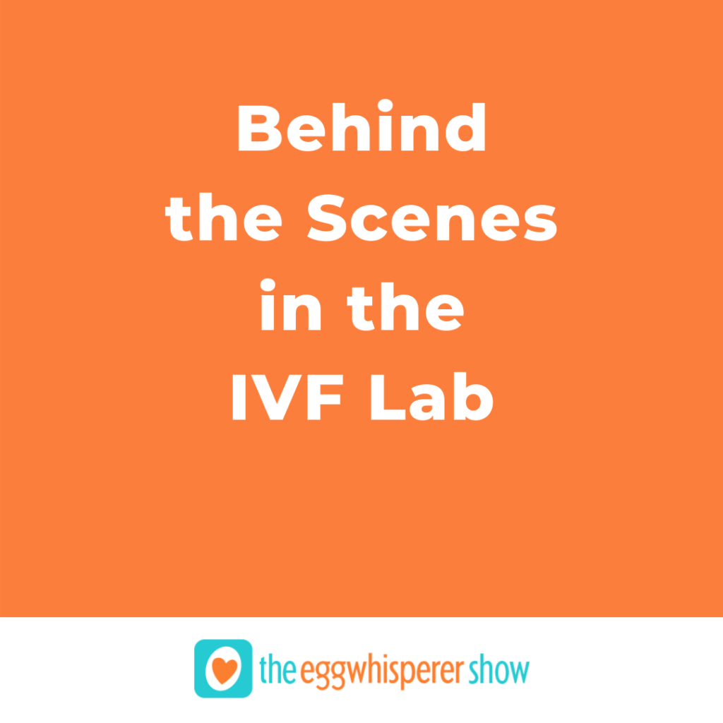 Behind the Scenes in the IVF Lab