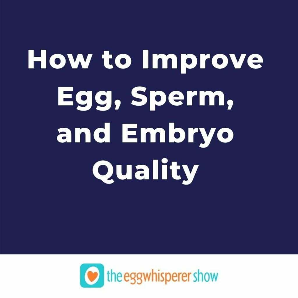 How to Improve Egg, Sperm, and Embryo Quality